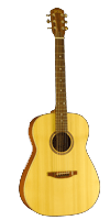Martin D2R