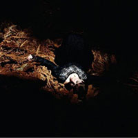 Cover-EJWhite-Victorian.jpg (200x200px)