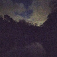 Cover-Flowerpornoes-Morgenstimmung.jpg (200x200px)