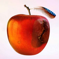 Cover-InternMusic-Ententraum.jpg (200x200px)