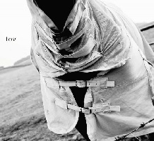 Cover-MWalking-Lov.jpg (218x200px)